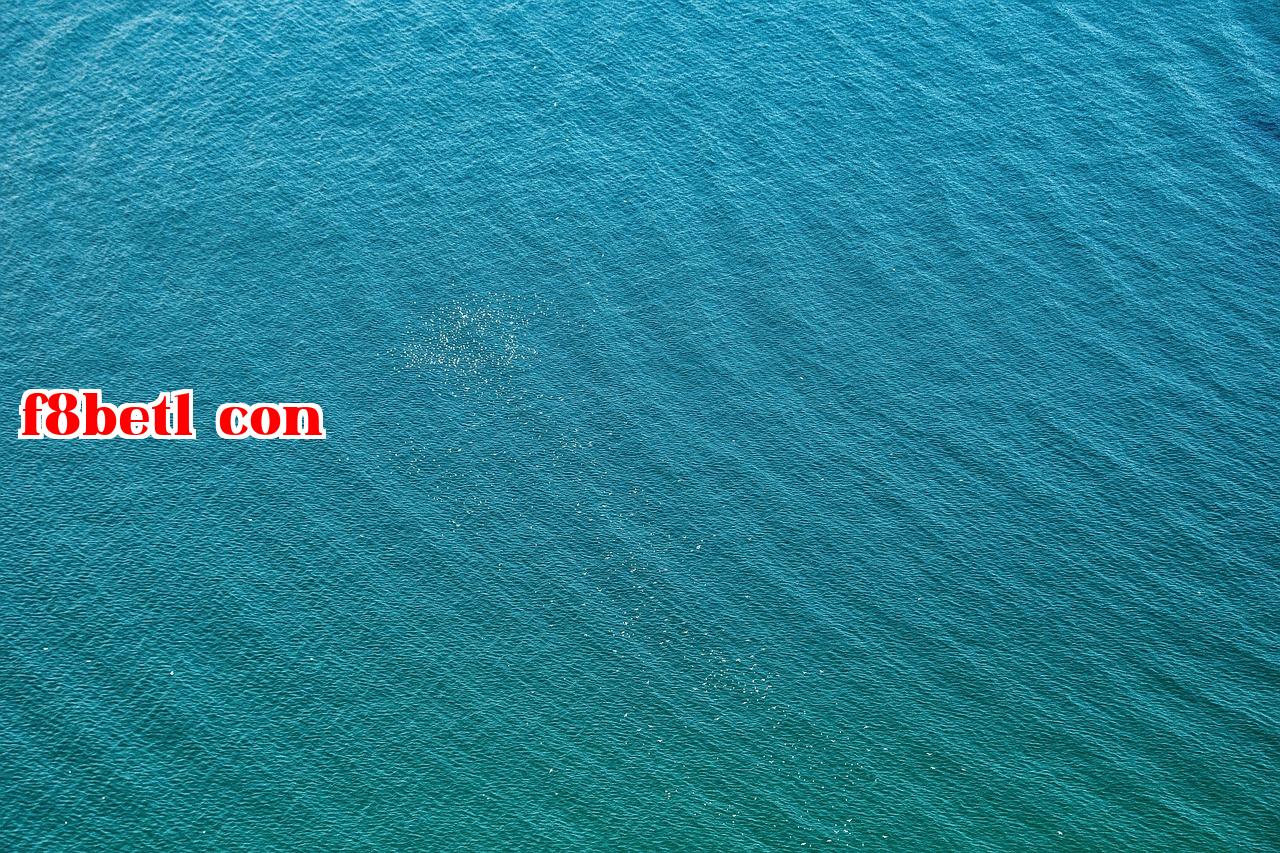 Featured image of post Nó không phải là ký ức độc nhất của ai cả - f8bet1 con
